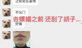 风水师女友爆料视频,风水秘术背后的惊人真相